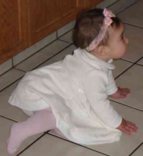 Exploring the kitchen floor