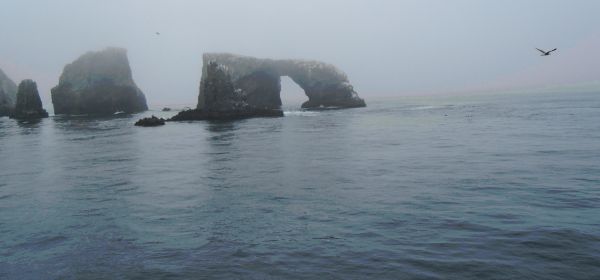 Anacapa Island Arch