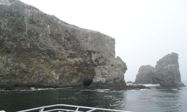 Caves & birds on the island