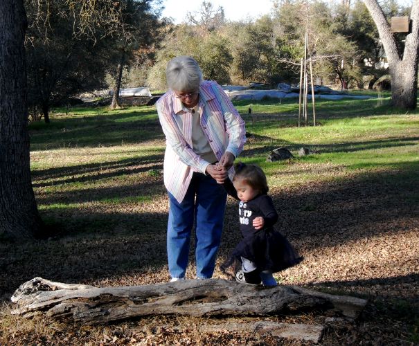 A log can be fun