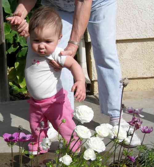 Strolling through the flowers