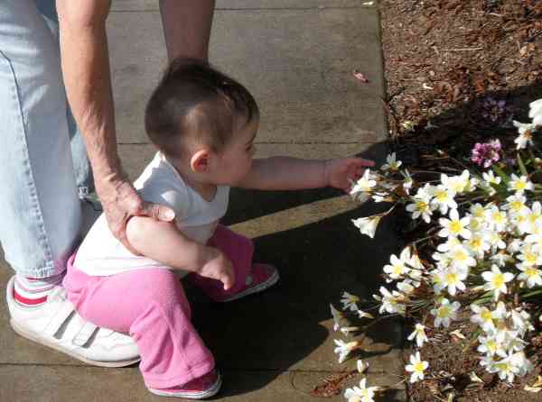 Sometimes a girl needs to sit while gardening